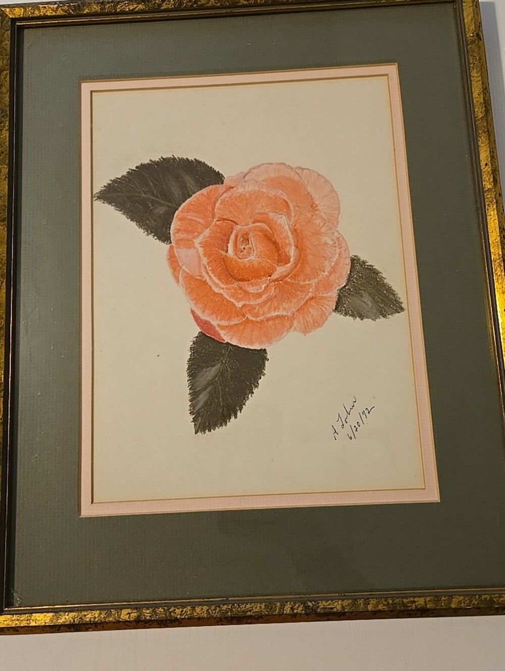 Framed Botanical Rose Artwork - Peach Rose Signed.  12x15"